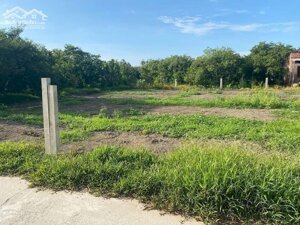 Cần bán gấp nền đất đường Ô TÔ 3m. Thuộc ấp Hội. Kim Sơn. Châu Thành. Tiền Giang