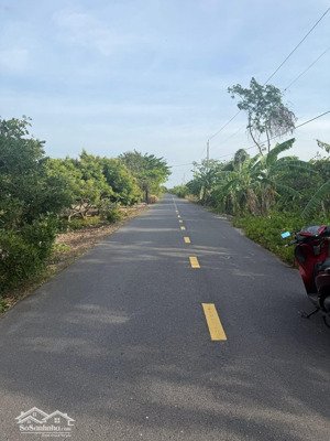 bán 2 sào đất bình châu, có vườn nhãn xuồng, gần đường 991 ( sân bay long thành-bình châu)