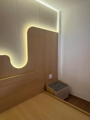 cho thuê shophouse ecogarden full đồ đẹp xịn, 100m2x4t, phù hợp hộ gd hoặc kinh doanh ks, homestay