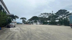 cần cho thuê - kho ở đồi dã chiến, p. 11, đà lạt. lh 0906694959