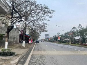 bán lô đất 100m ngang 5m tuyến 3 dự án icc quán mau, lạch tray, lê chân, hải phòng giá 95tr/m