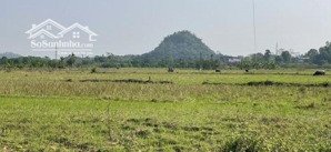 bán gấp siêu phẩm 750m2/100m2 thổ cư tại xóm giếng êm - nhuận trạch - lương sơn - hoà bình