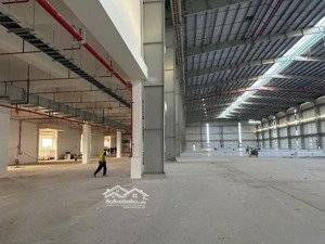 cho thuê kho xưởng mới 22.000m2 tại kcn long hậu long an, pccc tự động gần cảng