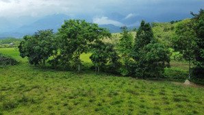 bán nhanh lô đất nghỉ ven suối nhà vườn nghỉ dưỡng hòa mình vào thiên nhiên tươi mát