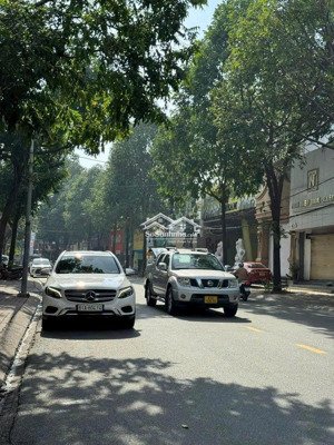 đất mặt tiền đường thích quảng đức phường phú hoà - kinh doanh sầm uất 6 x 31m (180m) thổ cư 150m2