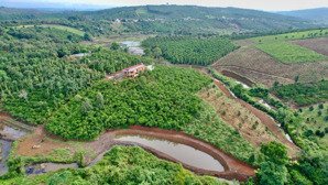 chính chủ bán khu farmstay nghỉ dưỡng - view suối quanh năm gần gũi thiên nhiên