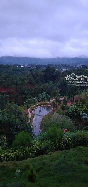cần bán ngay lô đất đẹp giá rẻ ở tp bảo lộc