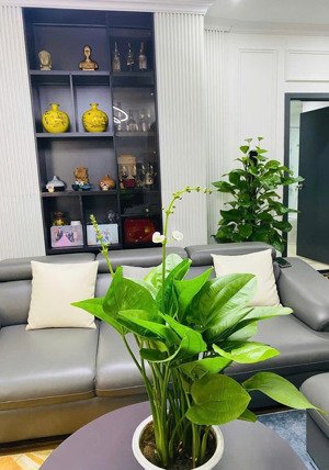 bán "căn biệt thự trên cao" 134m² 4pn full nội thất cao cấp chung cư tecco garden