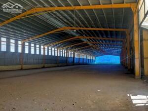 CHO THUÊ NHÀ XƯỞNG 6.500M² TẠI PHÚ GIÁO BÌNH DƯƠNG – PCCC NGHIỆM THU, ƯU TIÊN VIÊN NÉN, GỖ PHUN SƠN