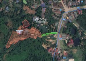 bán đất trang trại nằm trên đường quốc lộ 2c, cách thị trấn sơn dương 1,2km