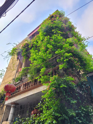 bán nhà riêng phố lụa, vạn phúc, hà đông - 3 tầng - 60,7m2 - lô góc vuông vắn - sân vườn thoáng mát