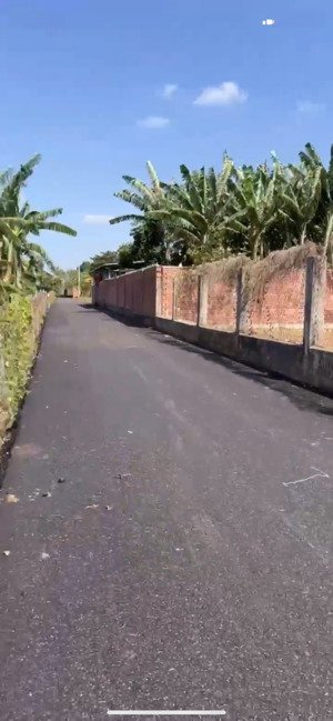 bán đất tại xã long phước, bà rịa, vũng tàu, 3,2 tỷ, 1129 m2 - hot!