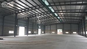 Kho Kcn Tân Đức, Giải Pháp Lưu Trữ & Logistics, Diện Tích: Gần 60.000M2, Pccc Tự Động