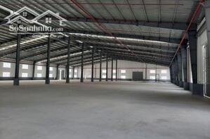 Cho Thuê Nhà Xưởng Mới Khu Công Nghiệp Long Hậu Cần Đước, Long An, Pccc Tự Động