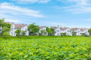 Chính chủ bán 3 lô biệt thự Vườn Vua gần nhau