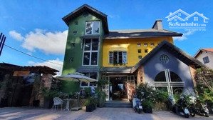 cho thuê biệt thự 890m2 đang kinh doanh cafe sân vườn - 22m mặt đường chính phường 5, đà lạt