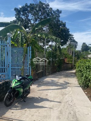 đất nền full thổ giá rẻ xuân tân long khánh đồng nai, giá đầu tư, xây nhà định cư