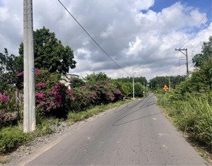 đất mặt tiền đường chính xã tân hiệp, diện tích 1000m2, sổ sẵn, đất phủ hồng. giá ban 3tỷ500 triệu.