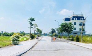 bán đất biệt thự 200m2 đông nam bắc đầm vạc xung quanh nhiều biệt thự cực đẹp giá rẻ