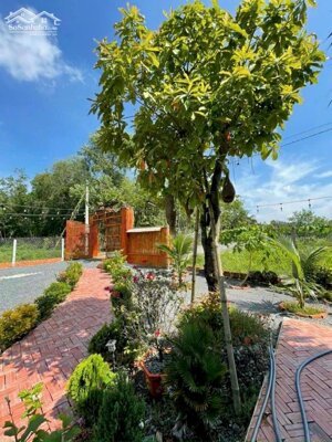 Tây Ninh,Giáp Củ Chi- Nhà Vườn 1100m2, ngang 25m full TC. Nhình 2ty