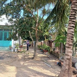 chính chủ cần bán gấp 160m² đất mặt tiền đường an tịnh, trảng bàng giá 450 triệu sổ hòng riêng