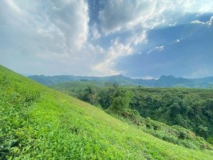 chính chủ cần bán lô đất view siêu đẹp chiềng khoa, vân hồ