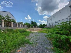 BÁN GẤP 2 LÔ ĐẤT, THỔ CƯ, 10X40=405M2 CÁCH CHỢ 300M, GIÁ 198 TRIỆU