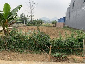 [thanh cao, lương sơn - 535m 435 ont - 2ty1]