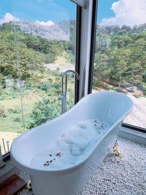cần tiền bán gấp căn homestay view đẹp đường hoàng hoa thám, đà lạt, 15 tỷ
