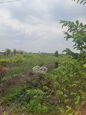 cơ hội đầu tư hấp dẫn không thể bỏ lỡ với lô đất thổ cư giá tốt tại thạnh đức, bến lức, long an