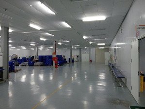 bán đất kcn gia bình 1 bắc ninh, 2.5ha, giá chỉ 145 usd/m², miễn tiền thuê đất 11 năm