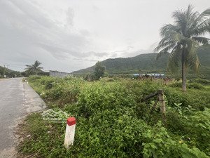 bán 3,7ha cln đất giáp mặt quốc lộ 1a, phường xuân tân, long khánh. giá 9,5tr/m , chính chủ