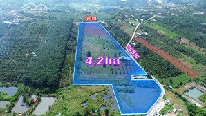 bán trang trại, khu nghỉ dưỡng tại đắk rmoan, gia nghĩa, đắk nông, 10 tỷ, 36000m2