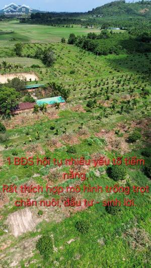 BÁN NHANH 6,5HA ĐẤT VƯỜN ĐẸP – SỔ SẴN – GIÁ CHỈ 135TR/1.000M²