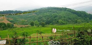 cần chuyển nhượng nhanh 578m2/150m2 ont đất xã cao sơn, lương sơn, hòa bình view cánh đồng