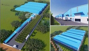 cho thuê 18.000m2 xưởng mới bàu bàng bd, giá: 55.000/m2 pccc tự động, đường cont, giấy tờ đầy đủ