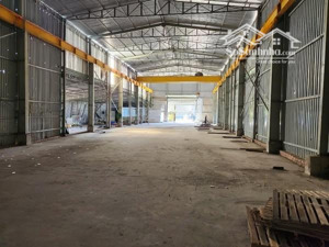 cho thuê nhà xưởng 800m2 - có cẩu trục 7,5 tấn, kim dinh bà rịa