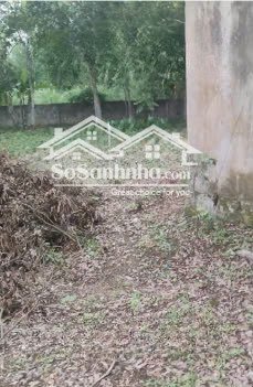 bán đất tại xã thanh cao, lương sơn, hòa bình, 7,852 tỷ, 2617.4 m2 chỉ với giá tốt