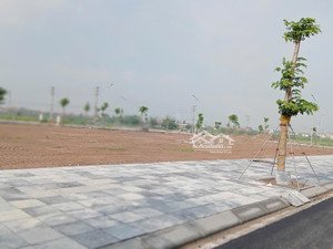 bán biệt thự 182m2 tại hà nam green city, 35 triệu / m2