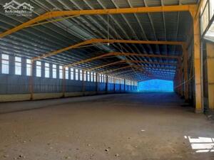 Cho thuê nhà xưởng Phú Giáo Bình Dương 6.500m² – PCCC vách tường, trạm điện 750KVA – Phù hợp gỗ, viên nén, bao bì, cơ khí