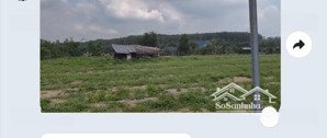 bán đất tại đường 746, tân định, bắc tân uyên, bình dương, 8 tỷ, 11000 m2
