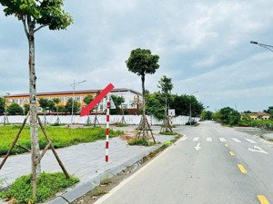 cc bán đất đấu giá 87m thụy lâm đông anh hạ tầng vip-vị trí kinh doanh giá hấp dẫn nhất thị trường