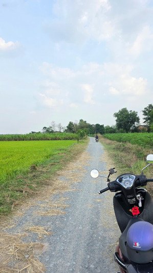 đất mẫu lập vườn 20,000m2 có ngay 100m mặt tiền tại phước thạnh, gò dầu, tây ninh