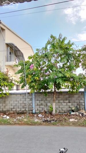 Mặt tiền lộ đan An Phước sát bên KCN Giao Long Bến Tre