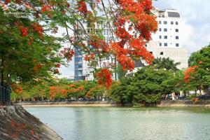  CHO THUÊ LÔ ĐẤT TUYẾN 2 LÔ 16D - LÊ HỒNG PHONG