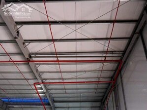 Cho thuê nhà xưởng 5.000m2 tại khu công nghiệp Sông Công – Thái Nguyên