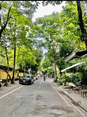 CẦN BÁN RẤT GẤP NHÀ PHỐ LINH LANG ĐÀO TẤN BA ĐÌNH 55M 8 TẦNG THANG MÁY 1 NHÀ RA PHỐ GIÁ RẺ NHẤT