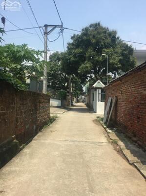 - Bán đất xã Đông yên 199 m2, Mt 10 m, oto vào Tận đất , Giá chỉ 3.255 tr