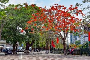  CHO THUÊ TÒA NHÀ MẶT PHỐ CẦU ĐẤT . VIEW NHÀ HÁT LỚN THÀNH PHỐ - VỊ TRÍ KẾT NỐI
