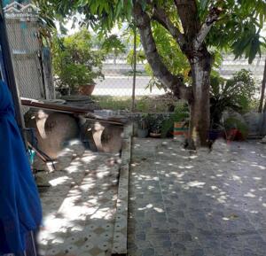 1,5 tỷ b.á.n nhà ngay Ao Thiết, P3, TP Gò Công, Tiền Giang.